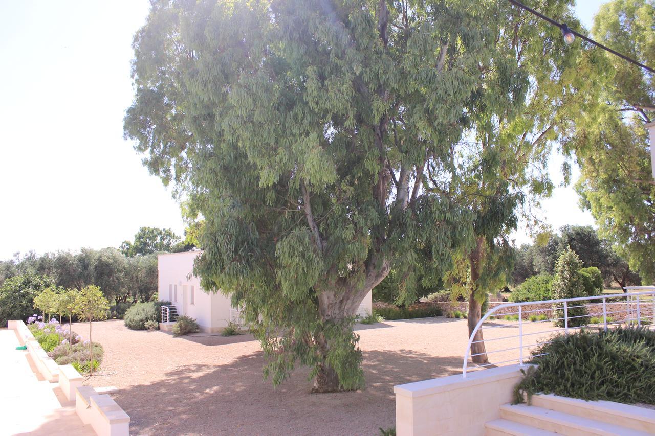 Bauernhof Terreamare *